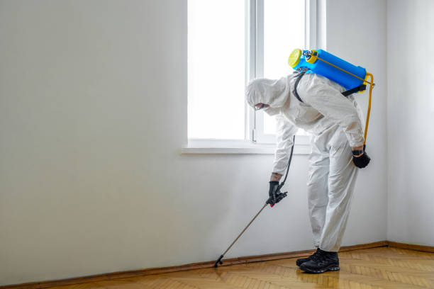 Best Indoor Pest Control  in Berly, MO